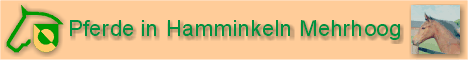 Pferde in Hamminkeln Mehrhoog