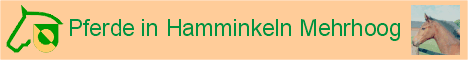 Pferde in Hamminkeln Mehrhoog