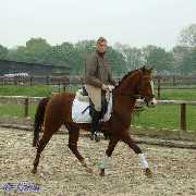 Verkaufspferd Lollipop - Pony Wallach von Lateran - � Gillar